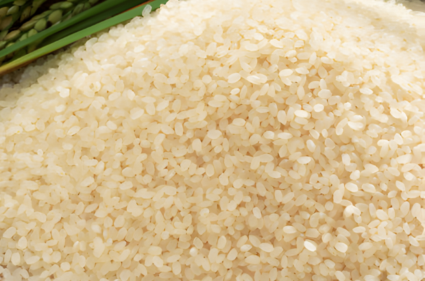 Aromatic Joha Rice
