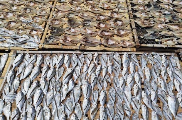 Borali Sukhua (Dry Freshwater Salmon)