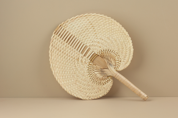 Bamboo Fan