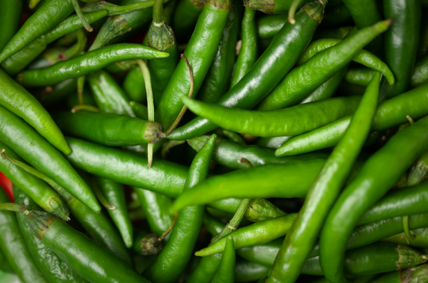 Green Chilli