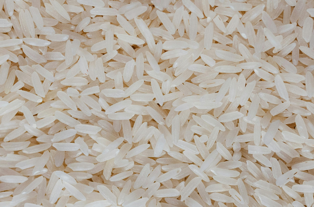 Ranjit-Rice