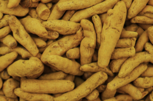 Turmeric